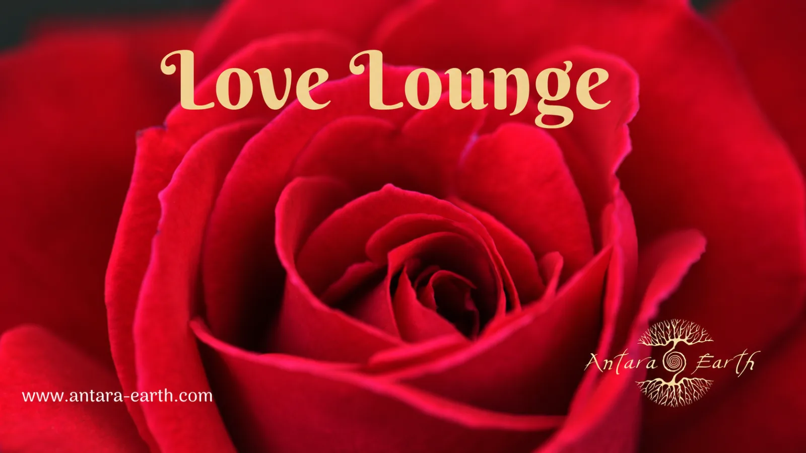 Love Lounge - Ein heilsamer Raum für authentische & bewusste Begegnung